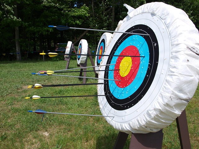 Archery Target