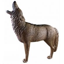 3d target coyote 3d target coyote