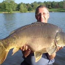 bowfishing carp bowfishing carp