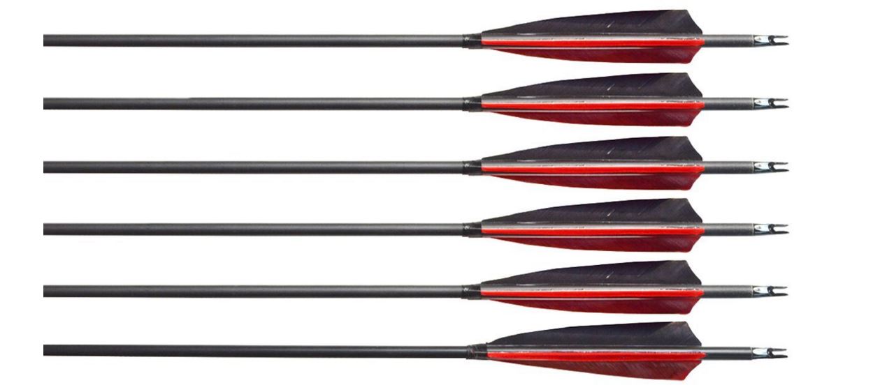 Best Carbon Arrows For Target Practice Or Hunting - My Archery Corner