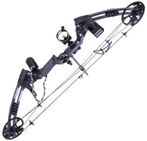 AWI Pro Compound Bow Kit Archery Set