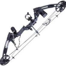 AWI Pro Compound Bow Kit Archery Set AWI Pro Compound Bow Kit Archery Set